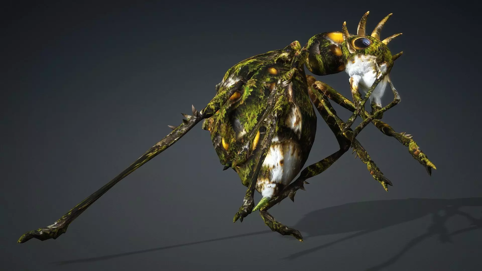 Ant-V4c 3D model_5
