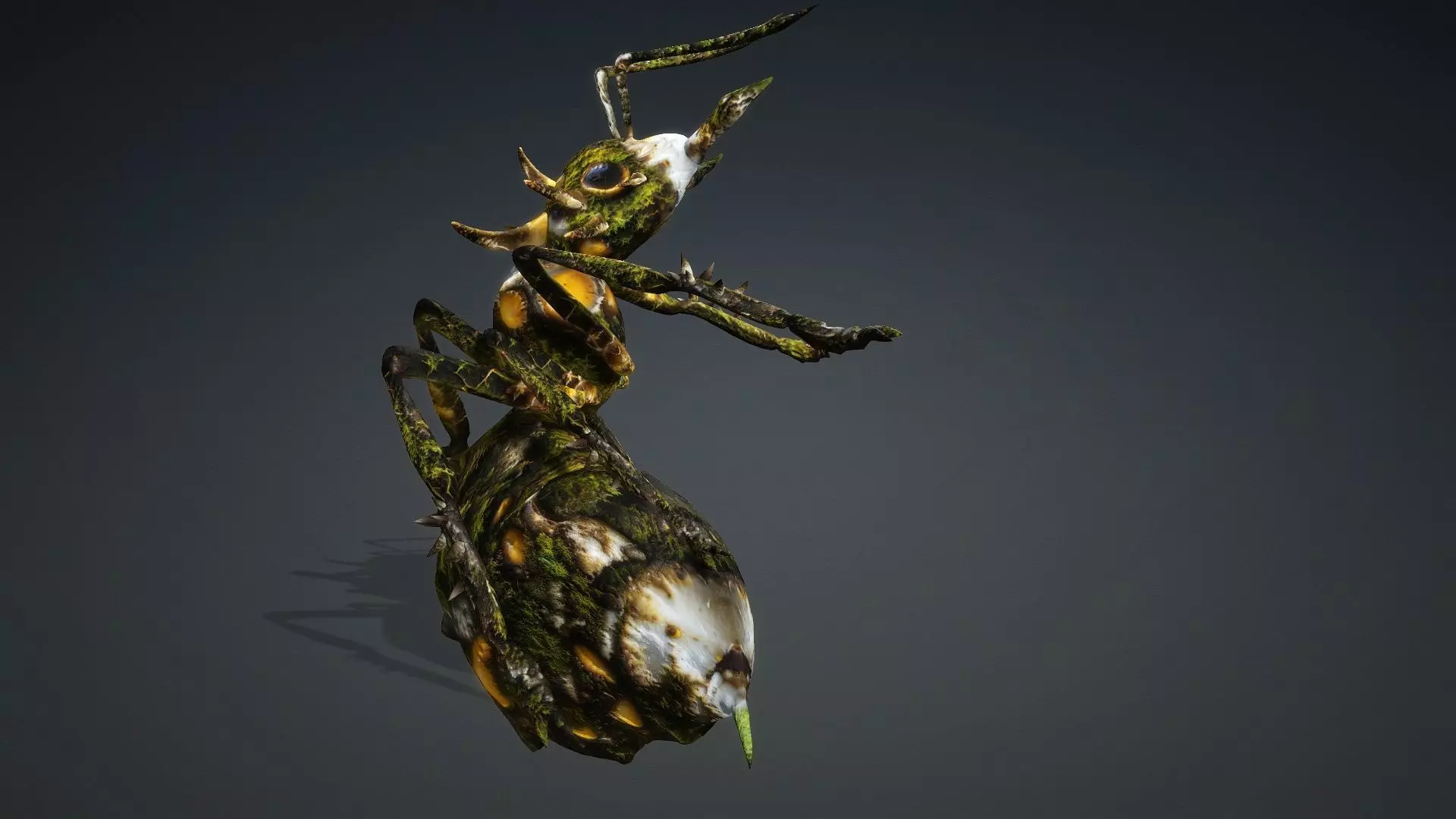 Ant-V4c 3D model_17