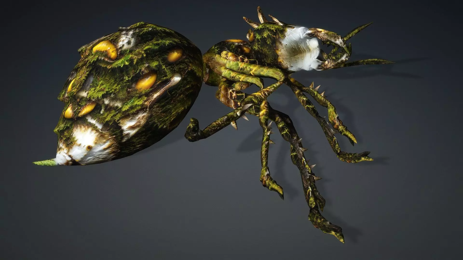 Ant-V4c 3D model_7