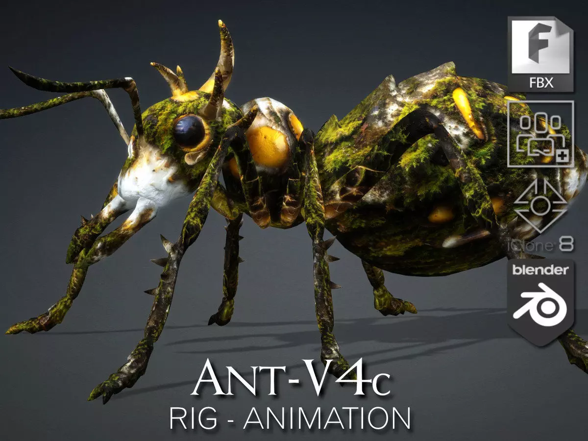 Ant-V4c 3D model_0