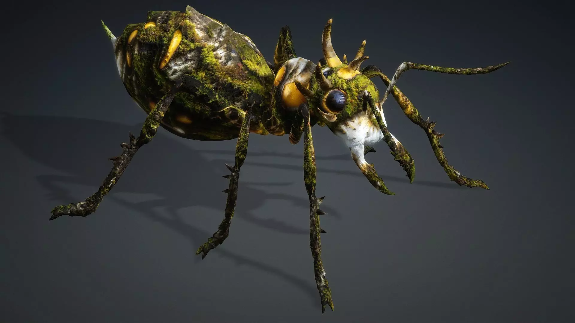 Ant-V4c 3D model_11