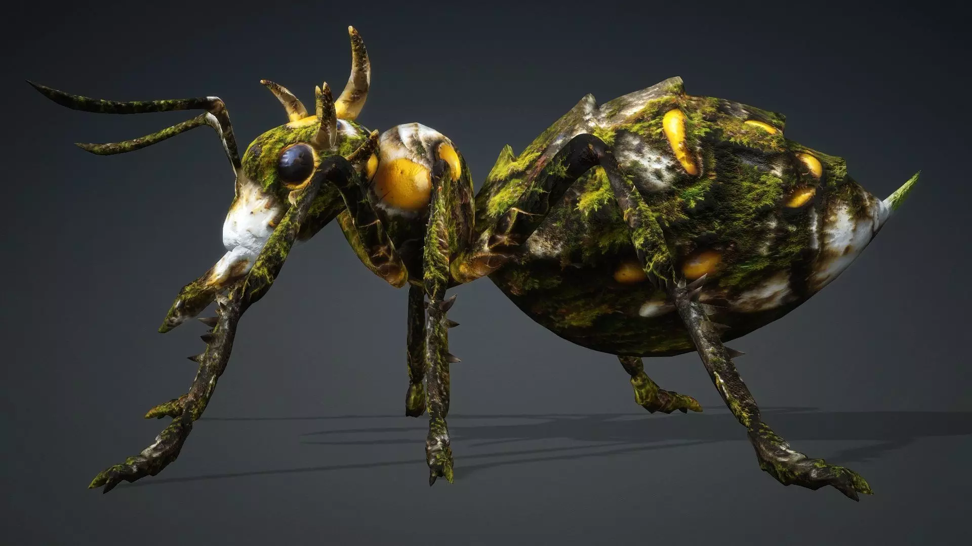 Ant-V4c 3D model_10