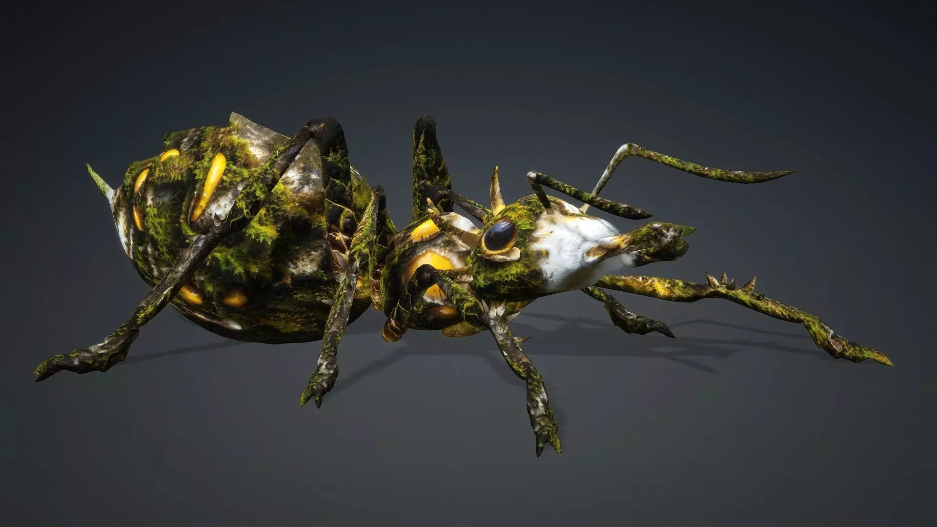 Ant-V4c 3D model_15