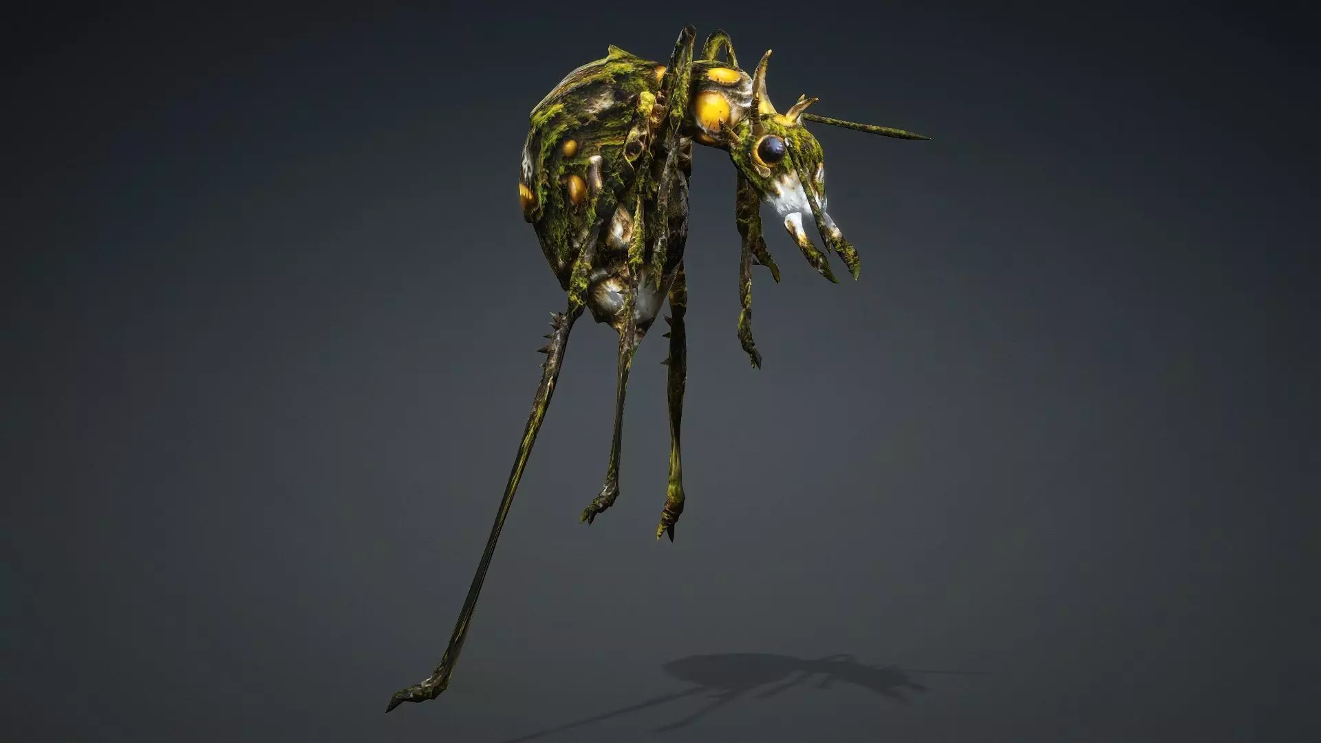 Ant-V4c 3D model_8