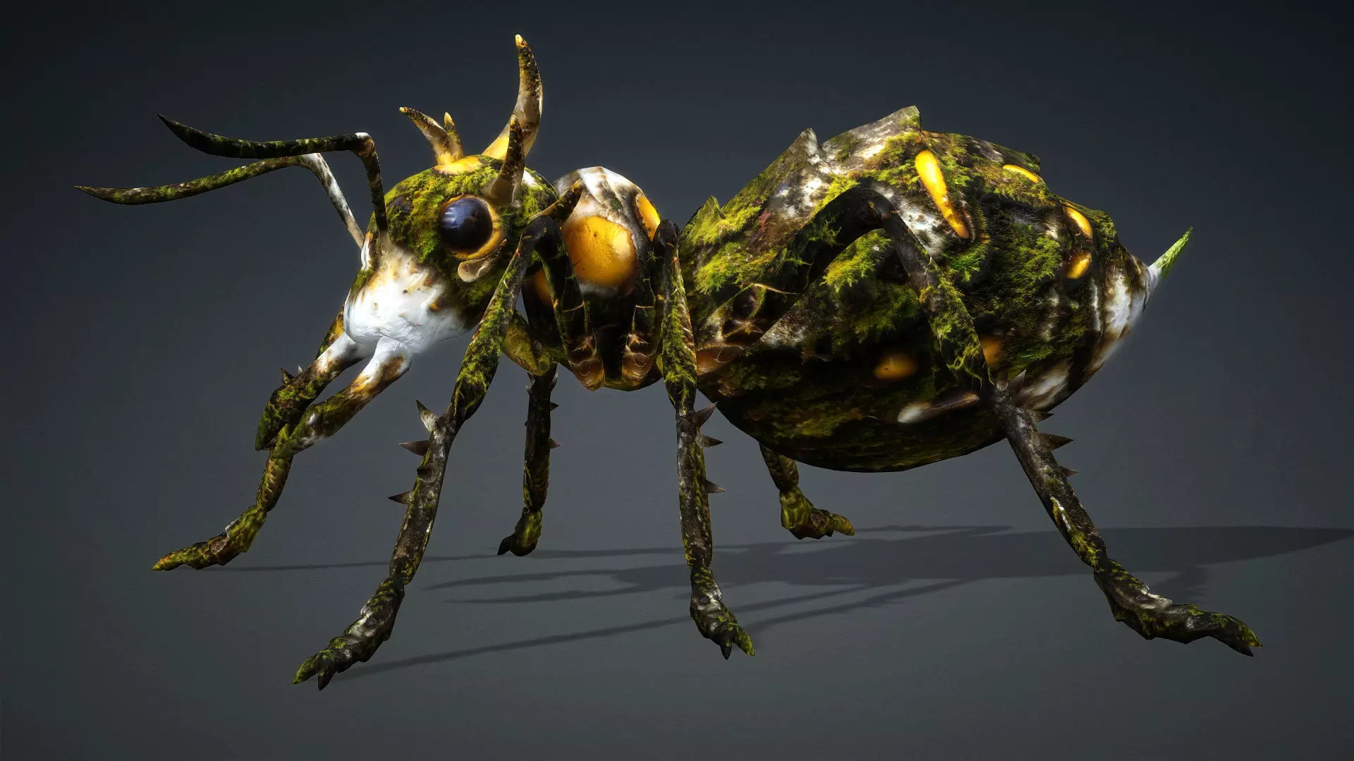 Ant-V4c 3D model_2