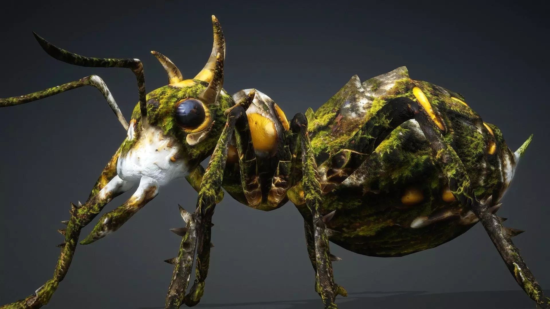 Ant-V4c 3D model_12