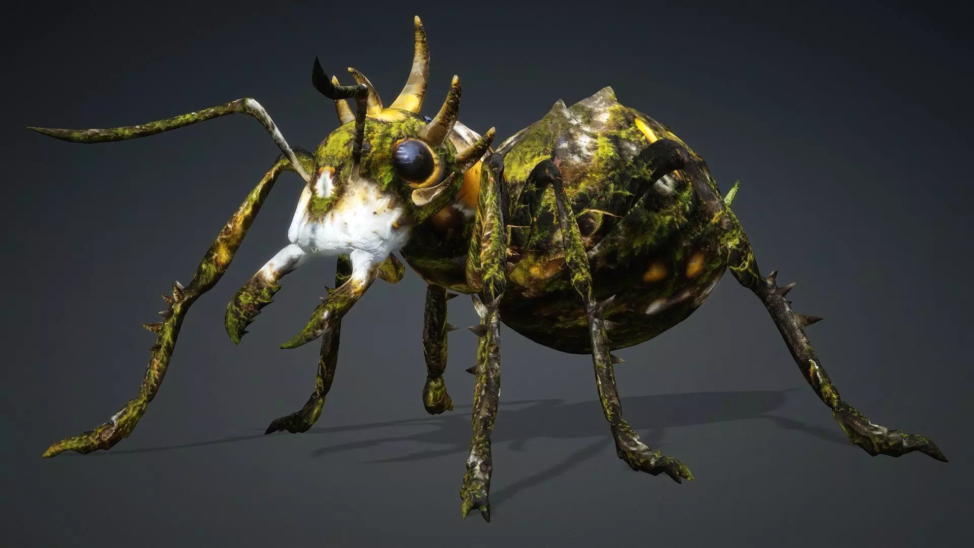 Ant-V4c 3D model_3