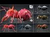 Ant-V4d 3D model_1