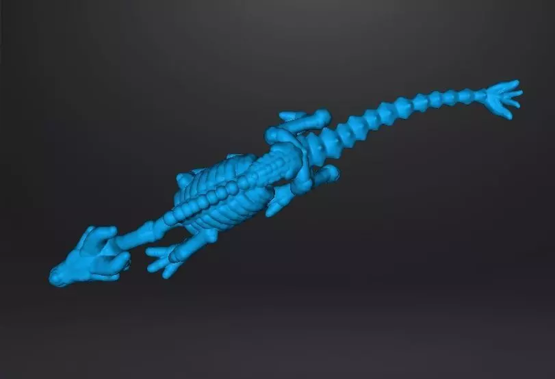 6MM KRAYT DRAGON SKELETON MINIATURE MODEL SCIFI OR FANTASY GAMES 3D print model_12