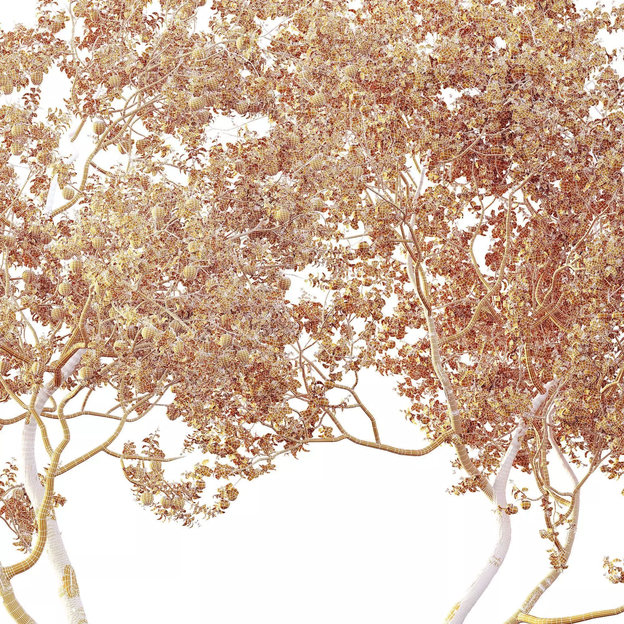 AV Fruit Trees Persimmon and Malus Apple Green 3D model_14