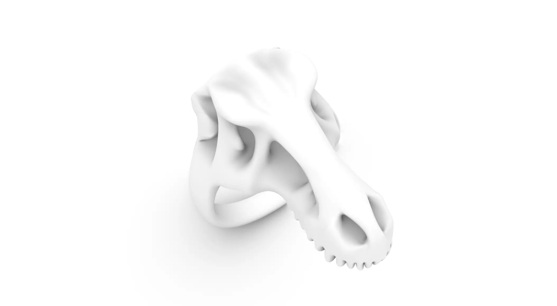 T-Rex Skull Ring 3D print model_9