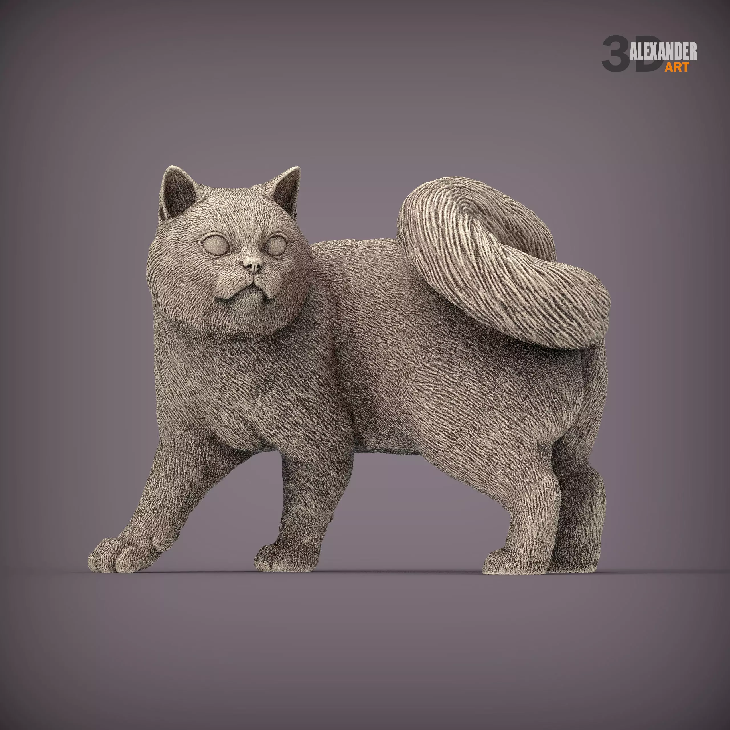 cat british golden chinchilla 3D print model