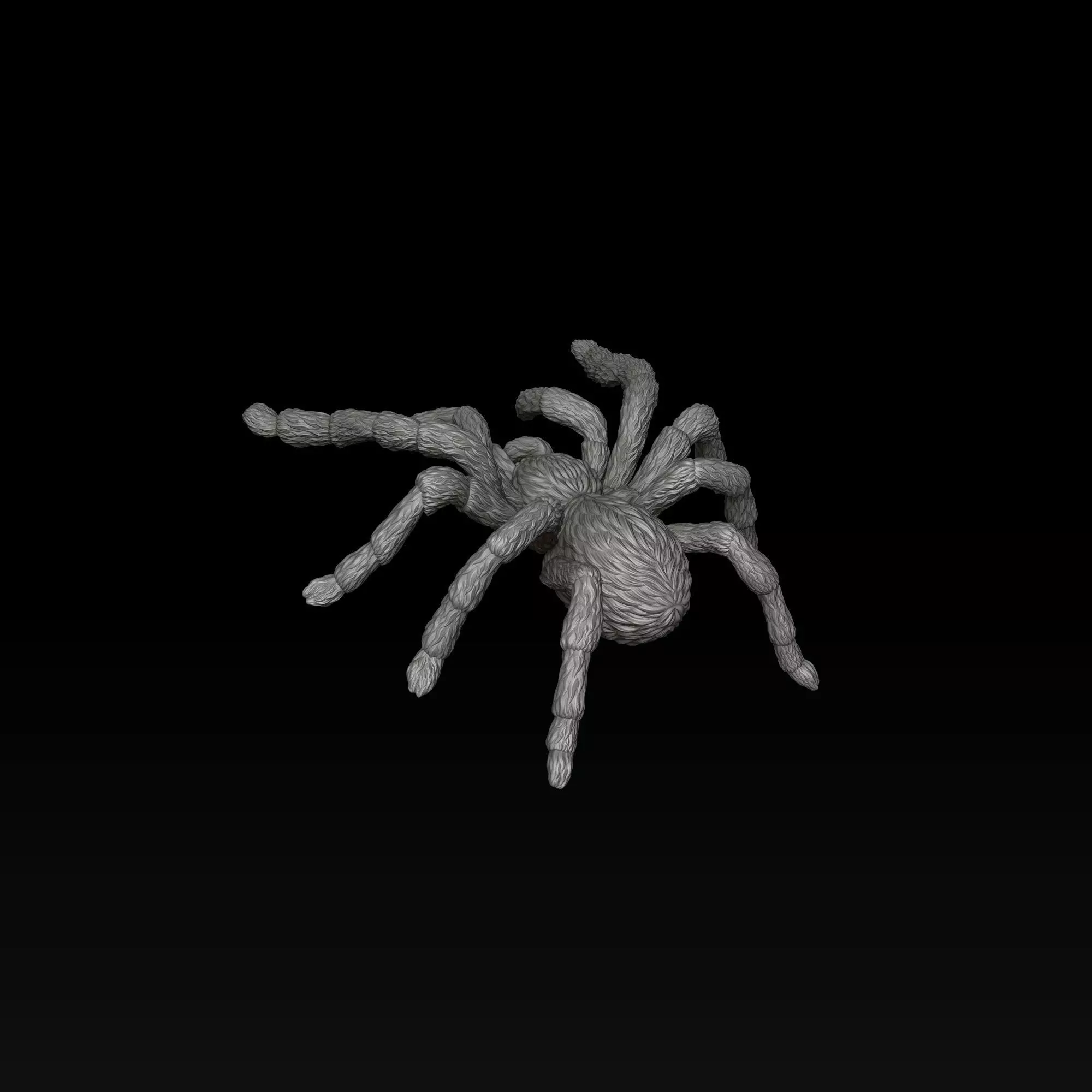 Spider Pendant v2 3D print model_5