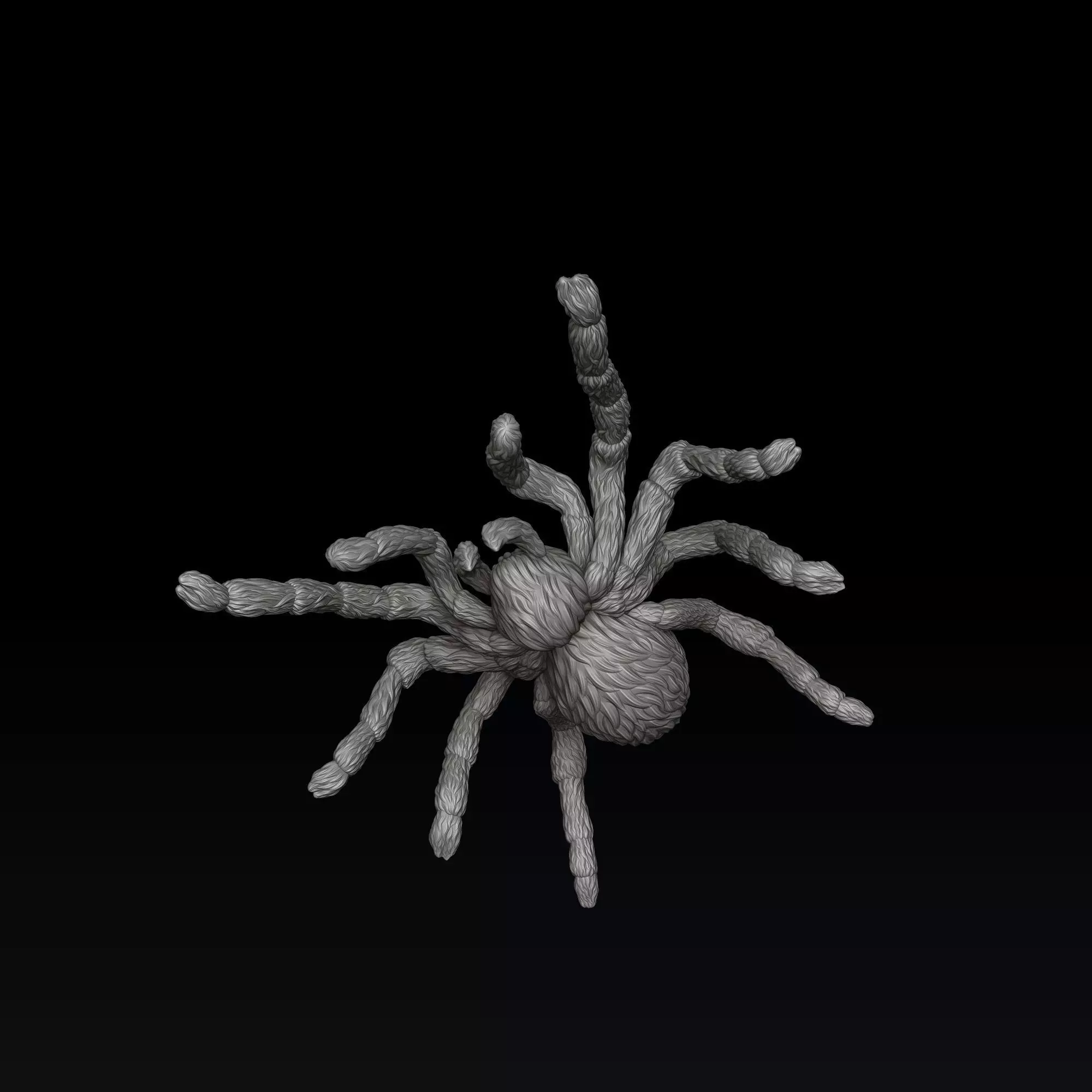 Spider Pendant v2 3D print model_6