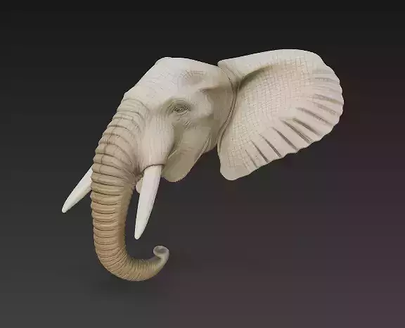 African Elephant Head-High-Detail Animal Sculpture-CGI  3D print model