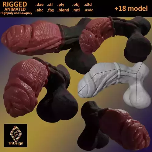 Celladon Dragon Penis Rigged Lowpoly and Highpoly