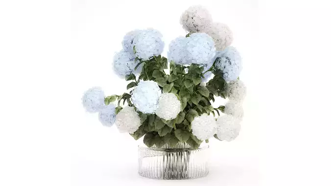 bouquet in a glass green vase with white blue hydrangea 598