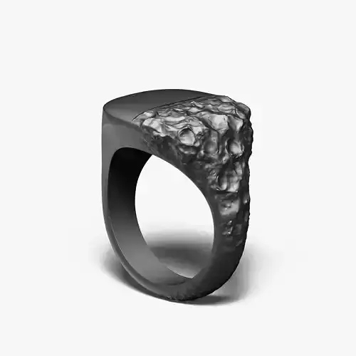 Signet Ring Sculptural Jewelry Design 3D print model