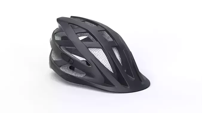 Bicycle Helmet