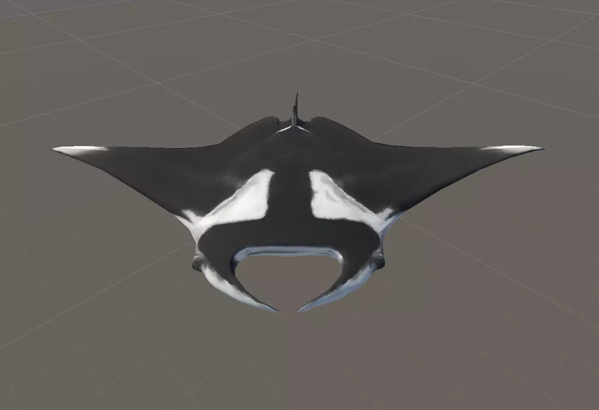 Giant Oceanic Manta Ray Animated 3D model_2
