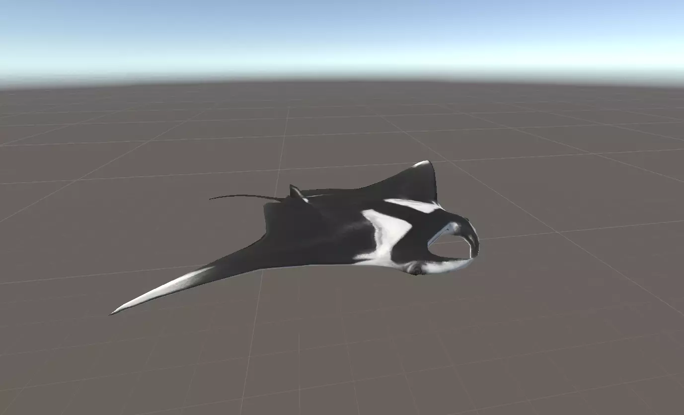 Giant Oceanic Manta Ray Animated 3D model_3