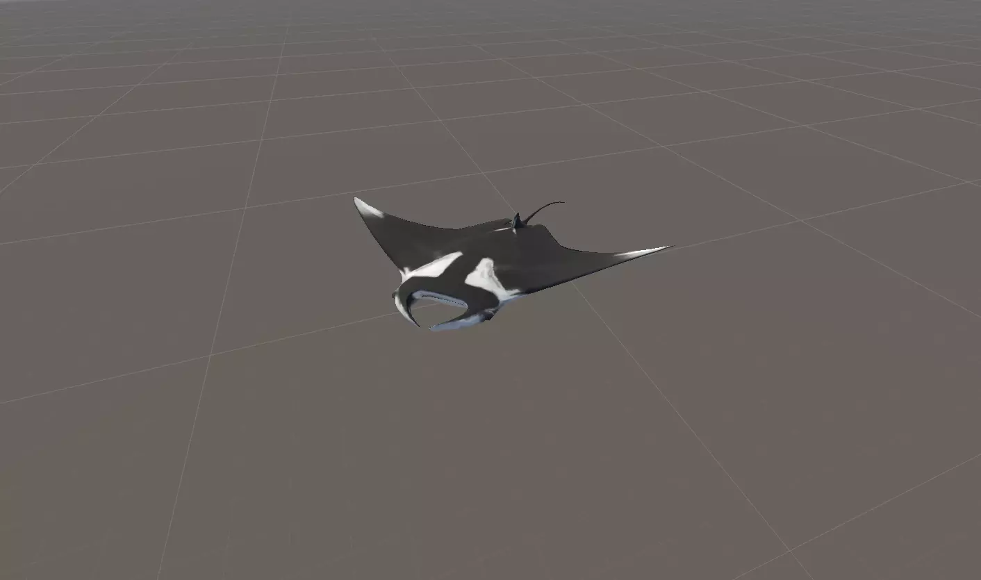 Giant Oceanic Manta Ray Animated 3D model_4