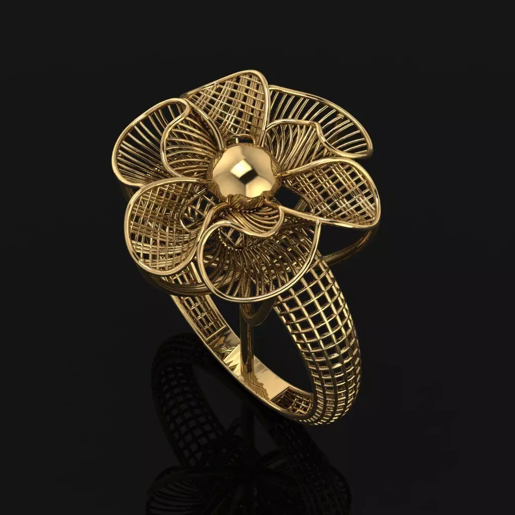 Turkish Ring 3D print model