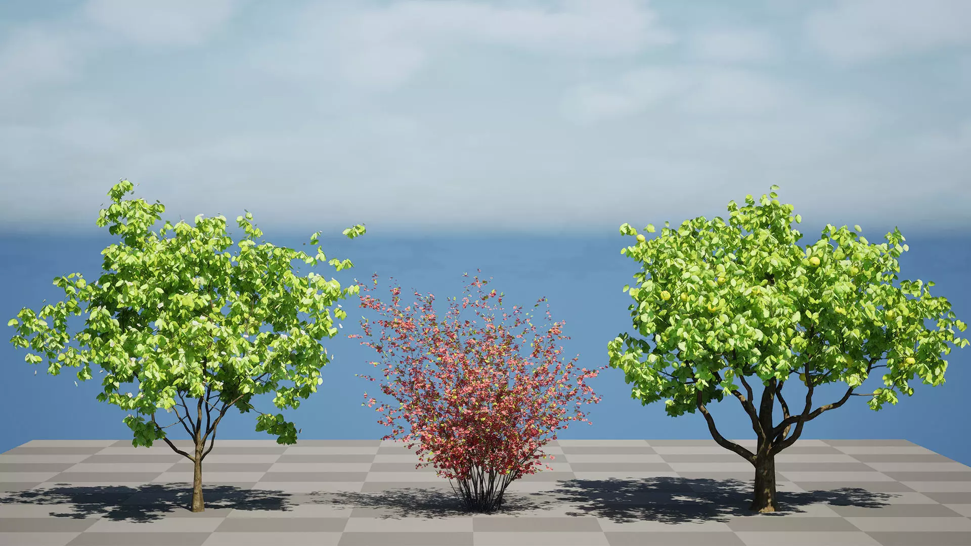 British Quince Tree 3D Model Collection Low-poly 3D model_9