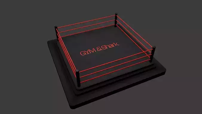  Modern Wrestling Ring 3D Model High-Quality