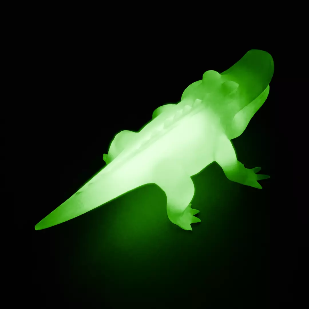 Crocodile indirect lighting 3D model_6