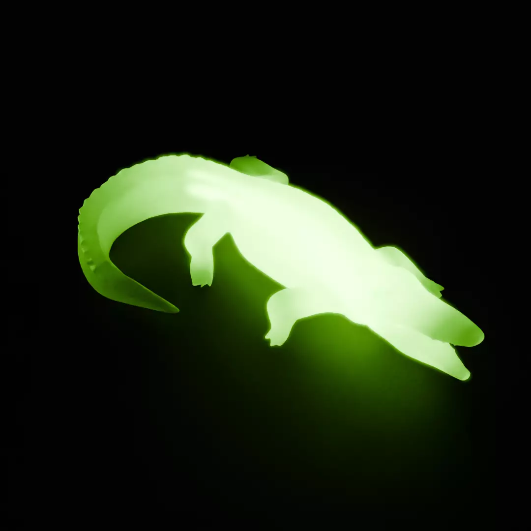 Crocodile indirect lighting 3D model_7