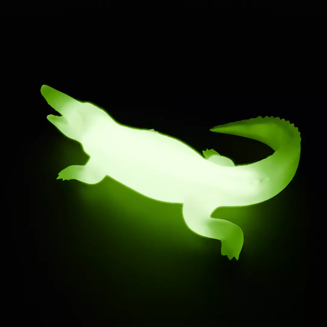 Crocodile indirect lighting 3D model_8