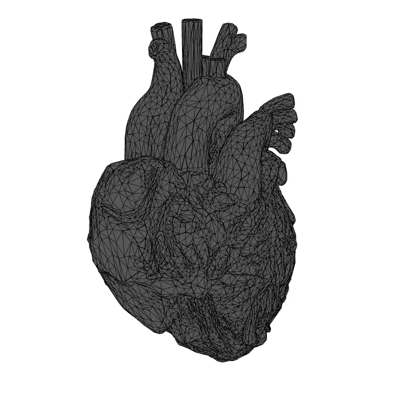 Realistic Stylized Human Heart 3D Model Low-poly 3D model_1