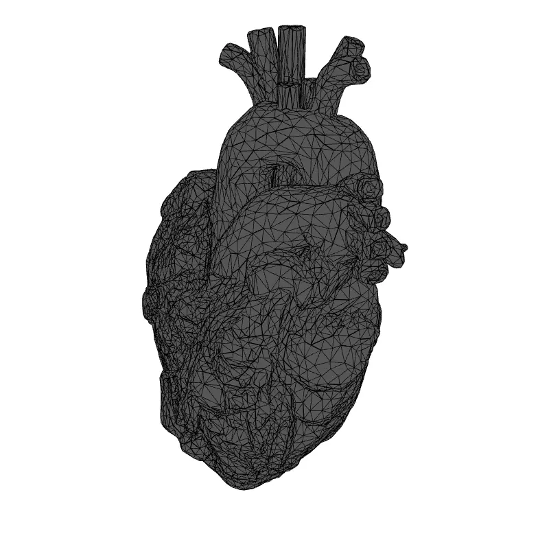 Realistic Stylized Human Heart 3D Model Low-poly 3D model_9