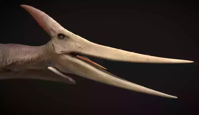 Pteranodon The Winged Ruler of the Cretaceous Skies 