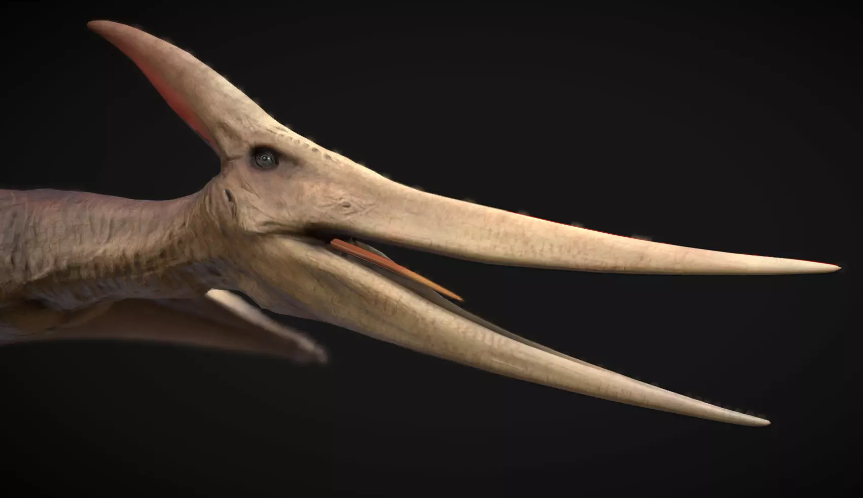 Pteranodon The Winged Ruler of the Cretaceous Skies Low-poly 3D model