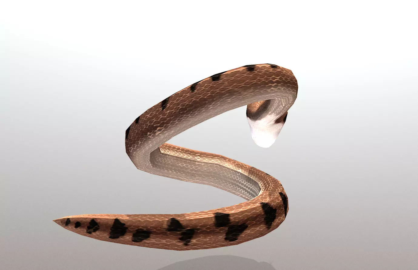 Sand Snake Attack Anihilation Animation 3D model_1