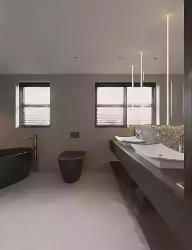 toilet 3D model