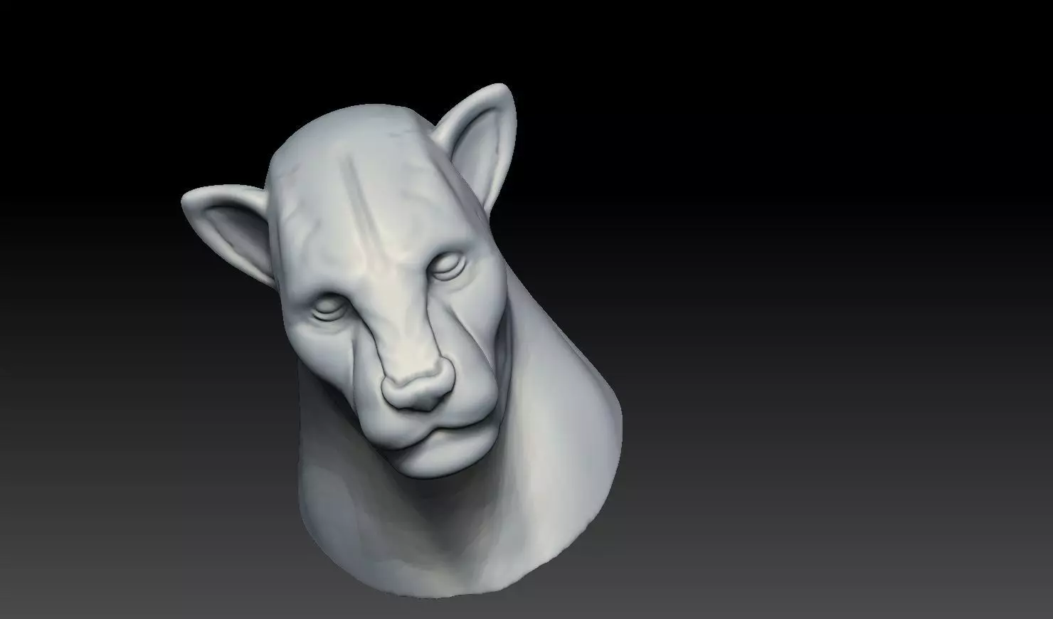 Realistic Lion Face 3D Print Model 3D print model_10