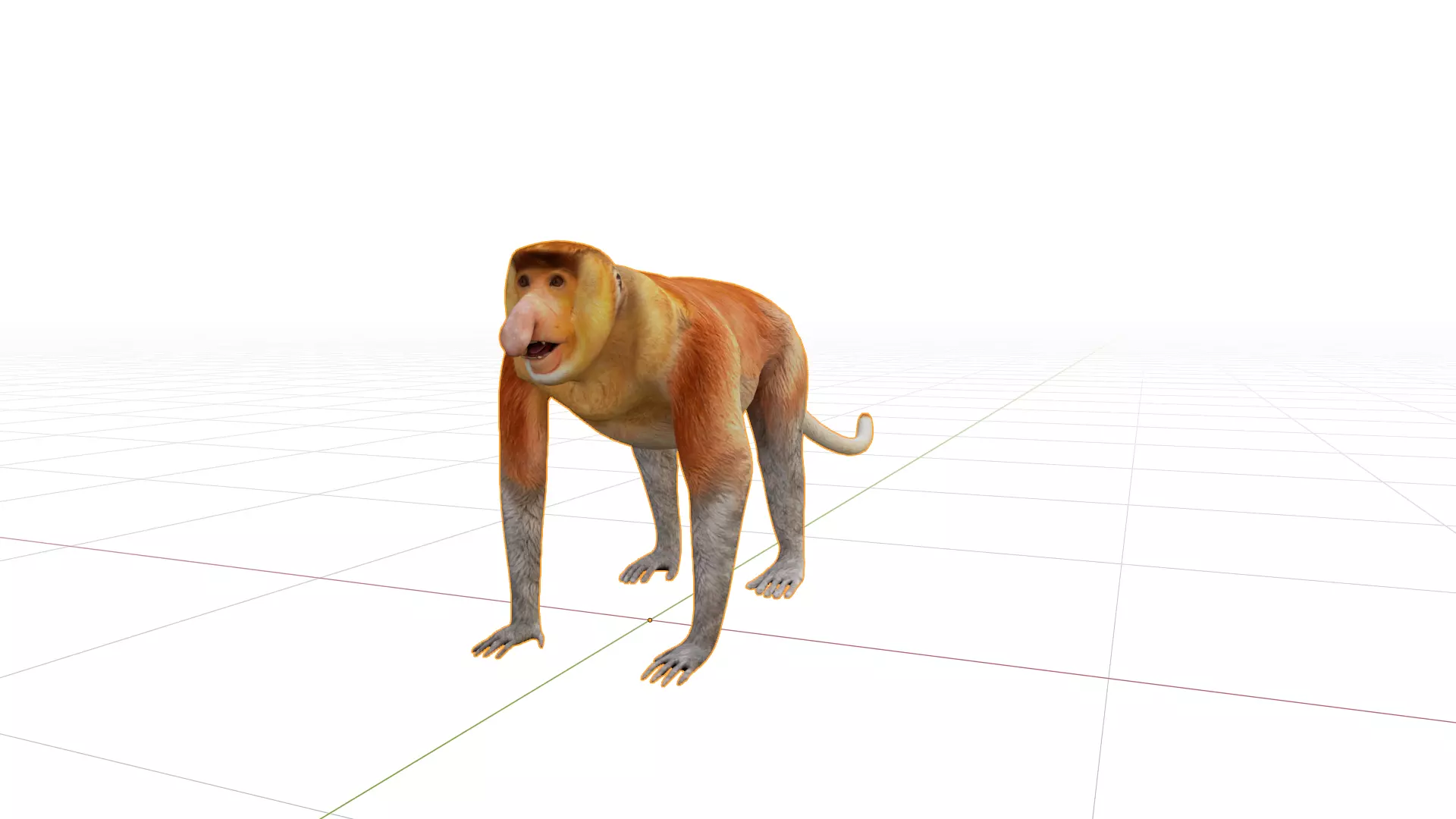 Proboscis Long Nosed Monkey Male Low-poly 3D model_48