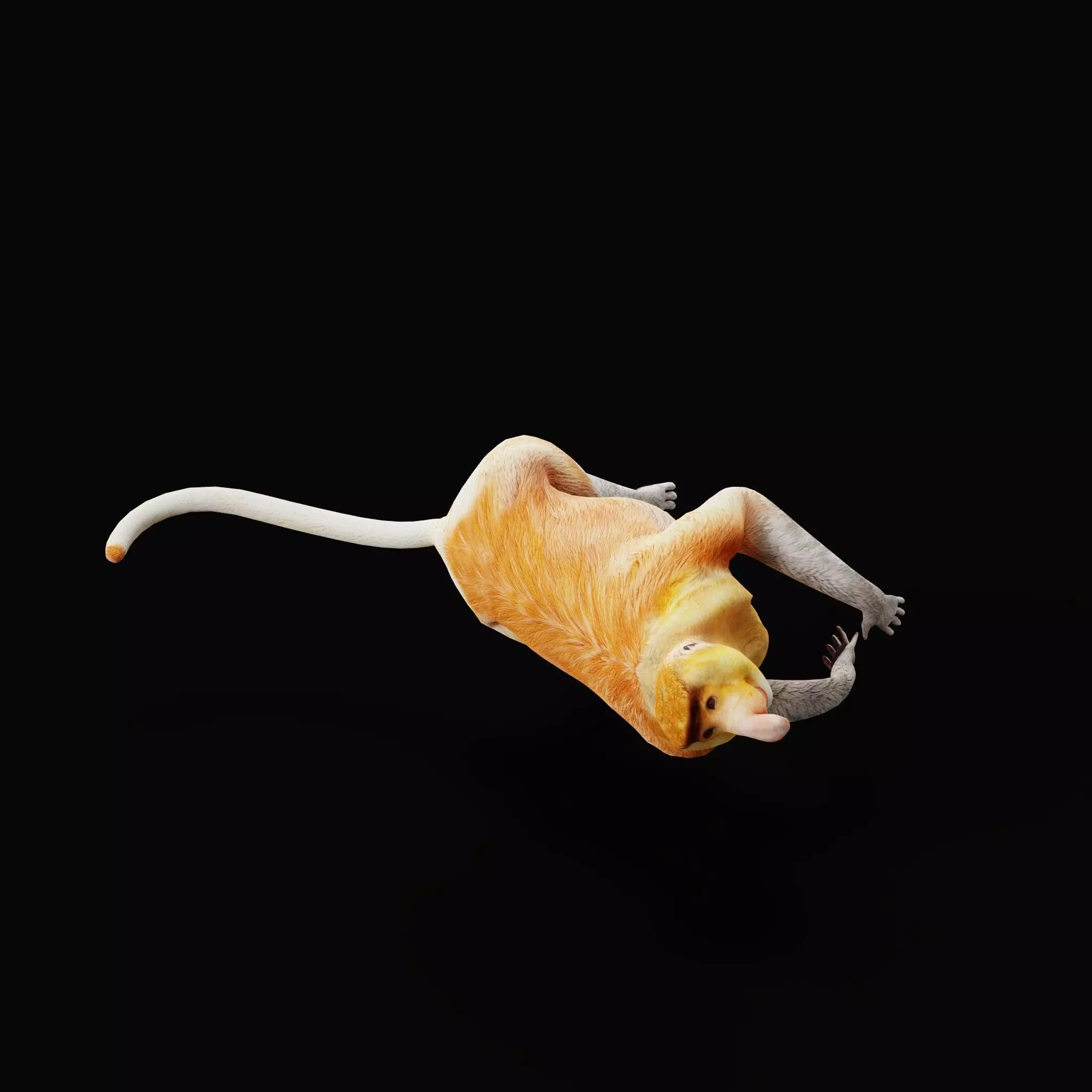 Proboscis Long Nosed Monkey Male Low-poly 3D model_66