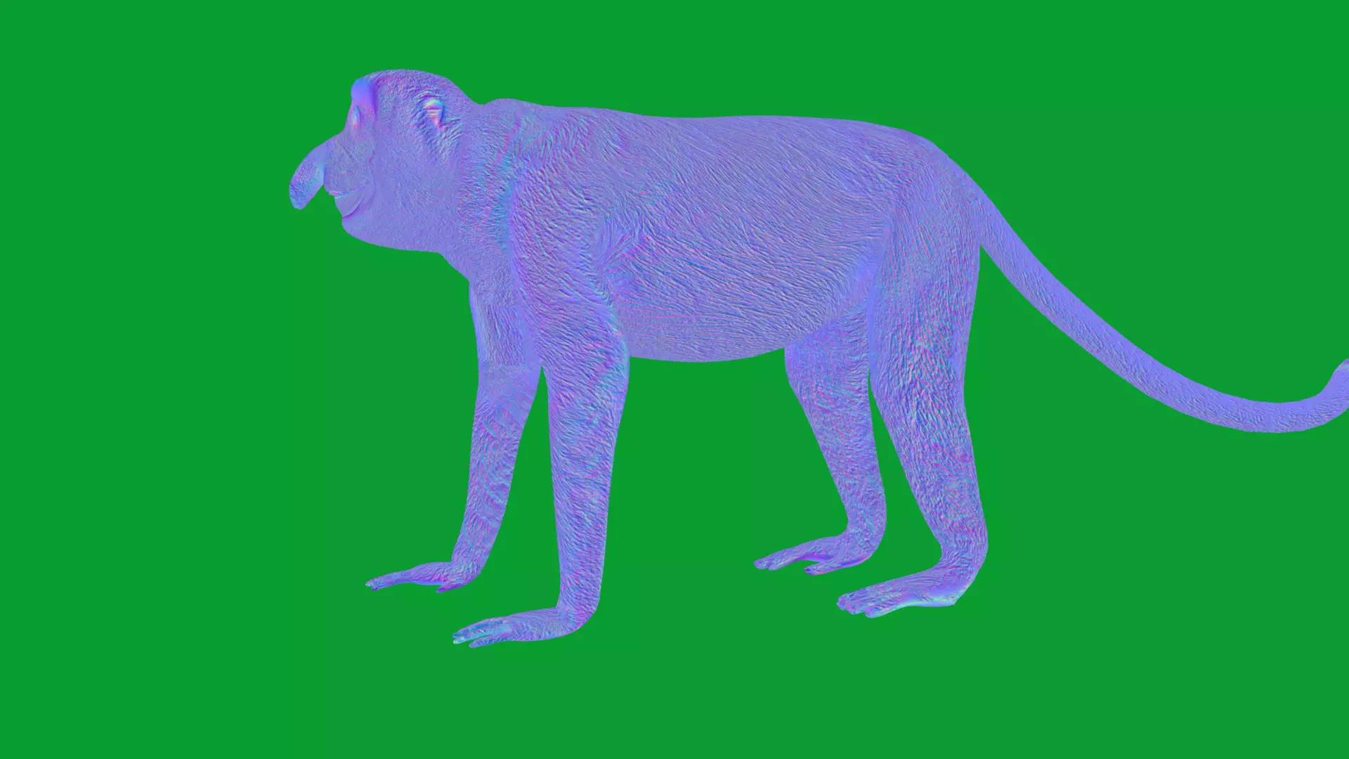 Proboscis Long Nosed Monkey Male Low-poly 3D model_16