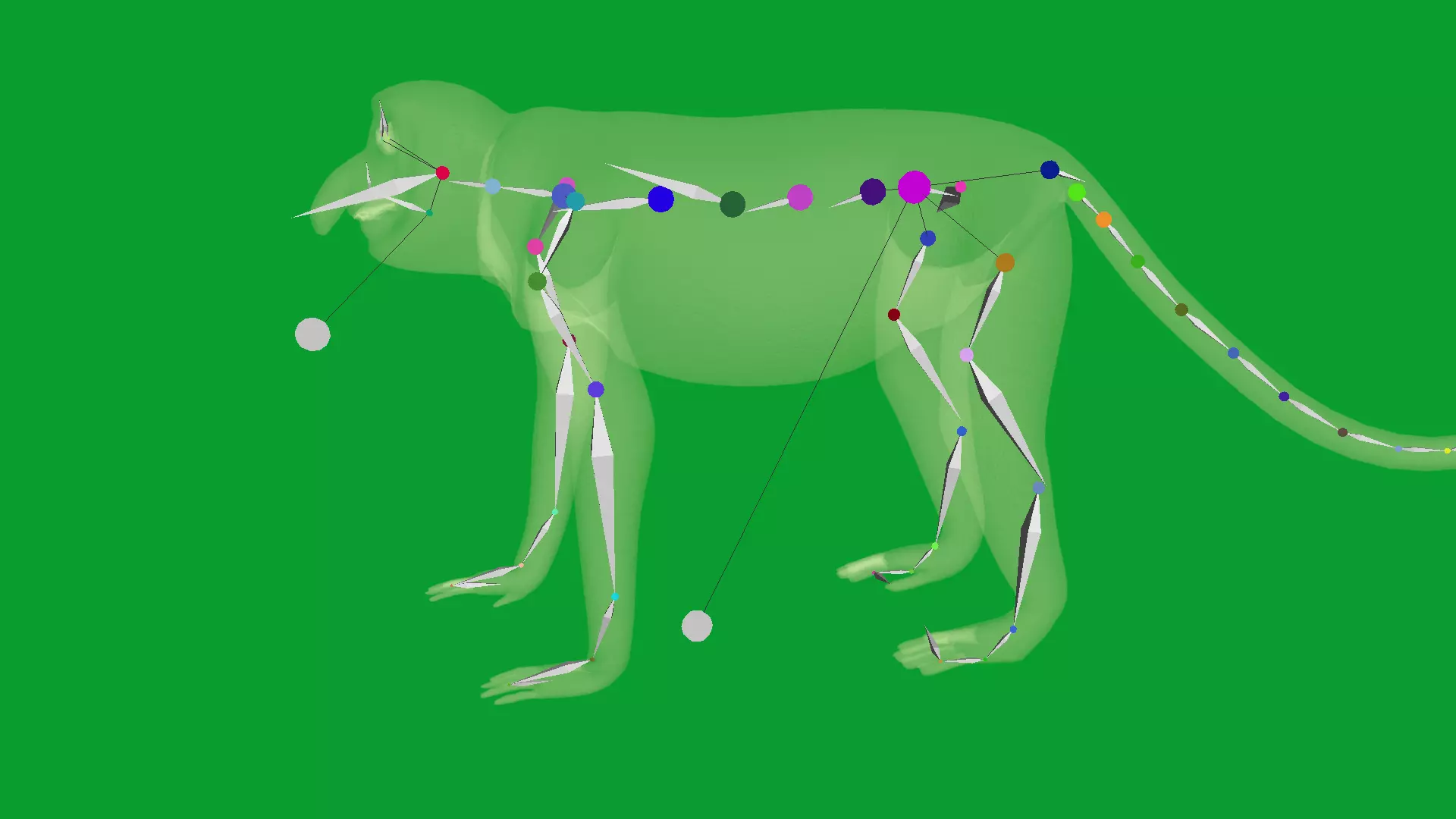 Proboscis Long Nosed Monkey Male Low-poly 3D model_11