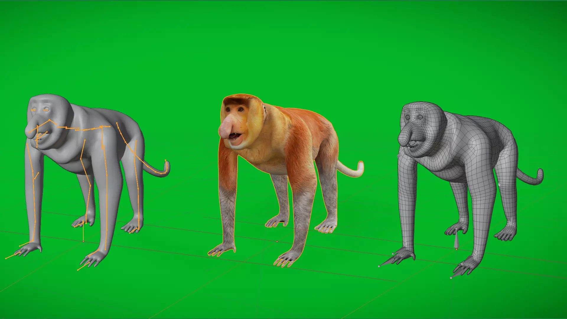 Proboscis Long Nosed Monkey Male Low-poly 3D model_5