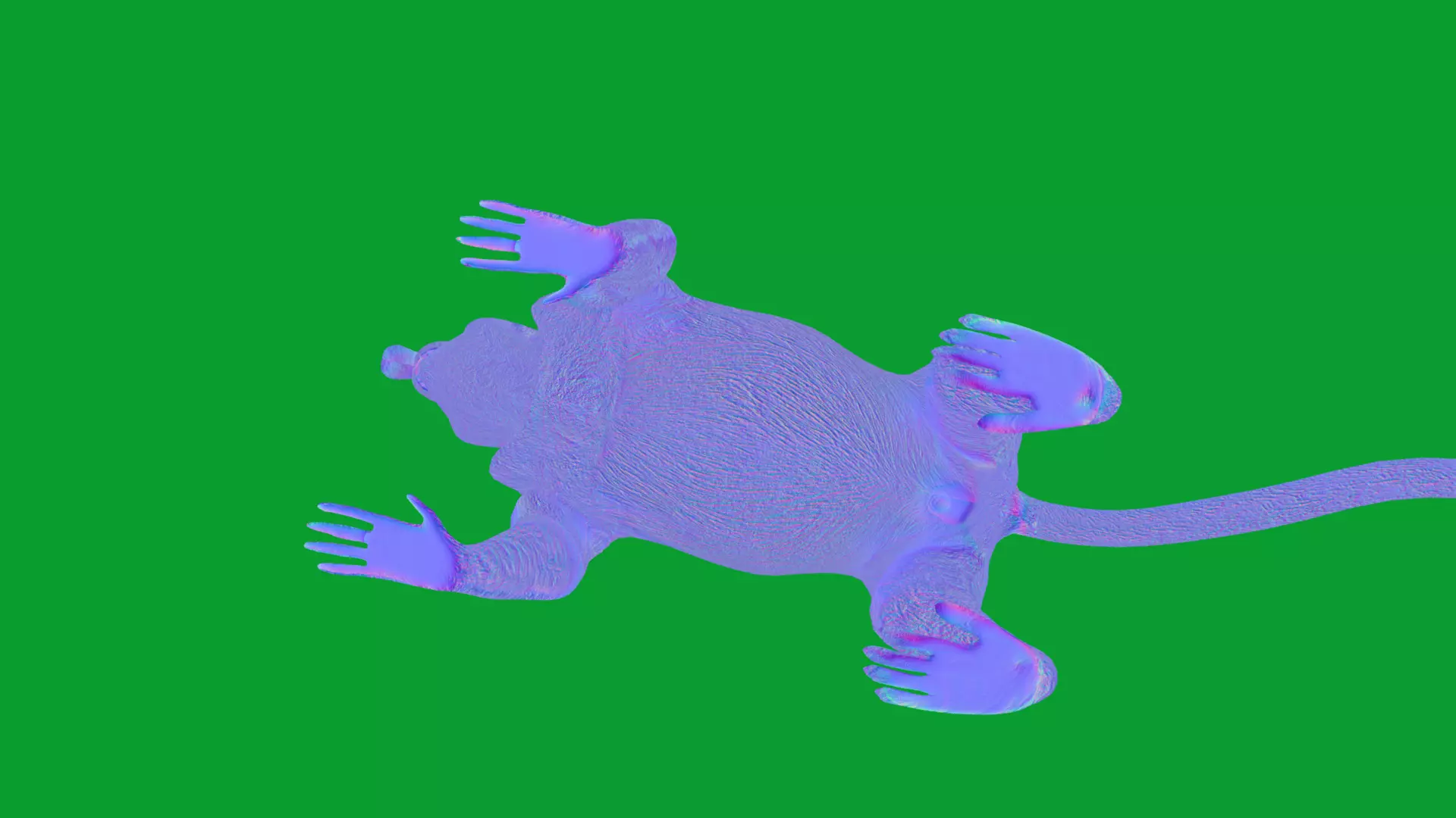 Proboscis Long Nosed Monkey Male Low-poly 3D model_15