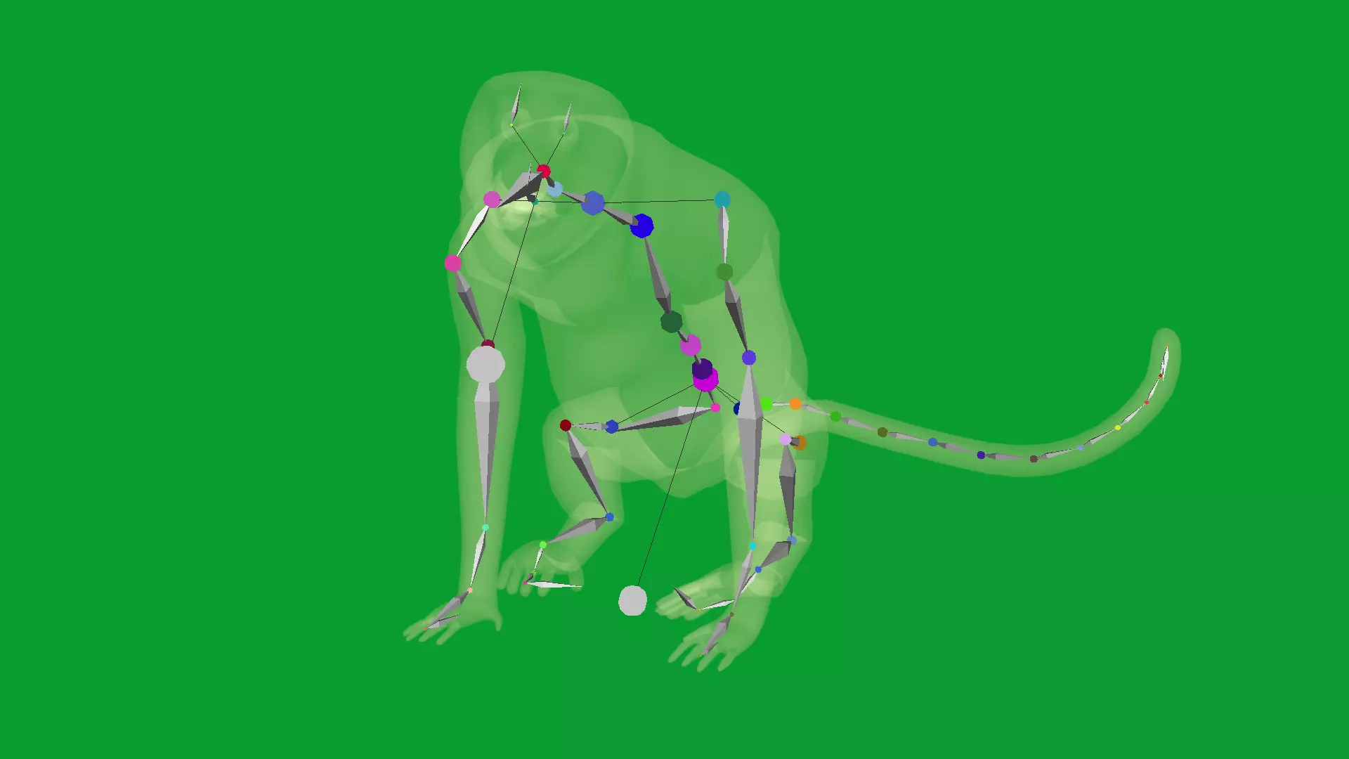 Proboscis Long Nosed Monkey Male Low-poly 3D model_37