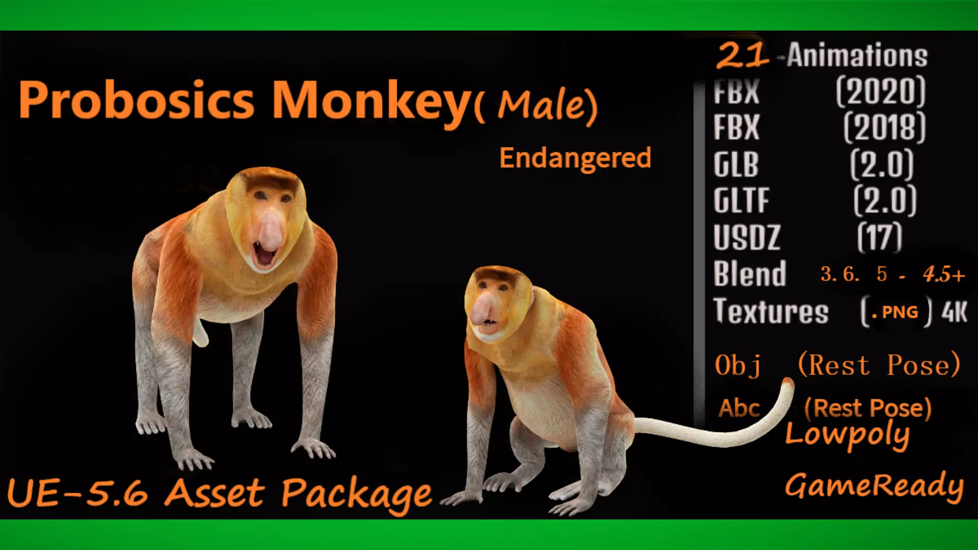 Proboscis Long Nosed Monkey Male Low-poly 3D model_3