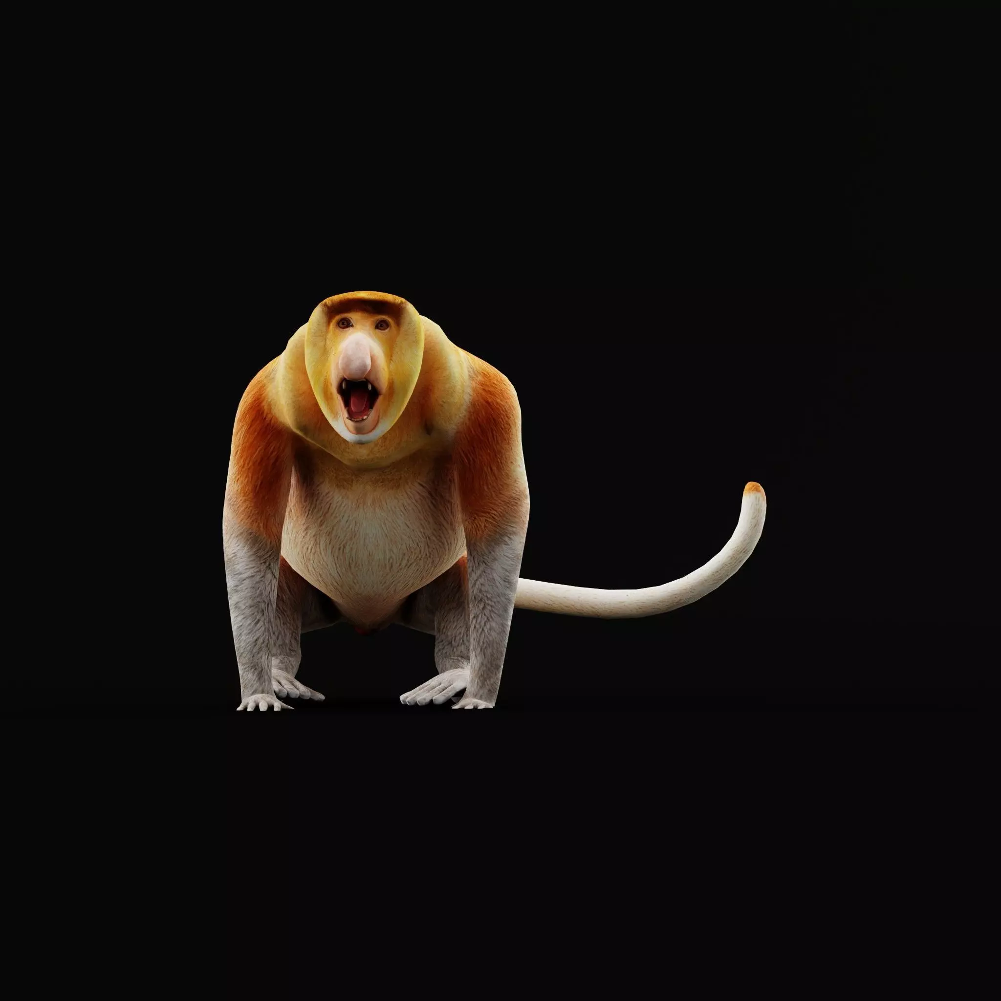 Proboscis Long Nosed Monkey Male Low-poly 3D model_58