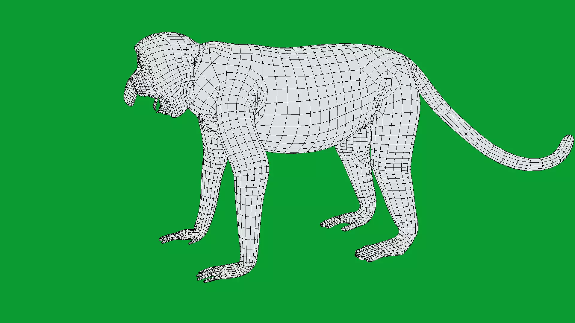 Proboscis Long Nosed Monkey Male Low-poly 3D model_27