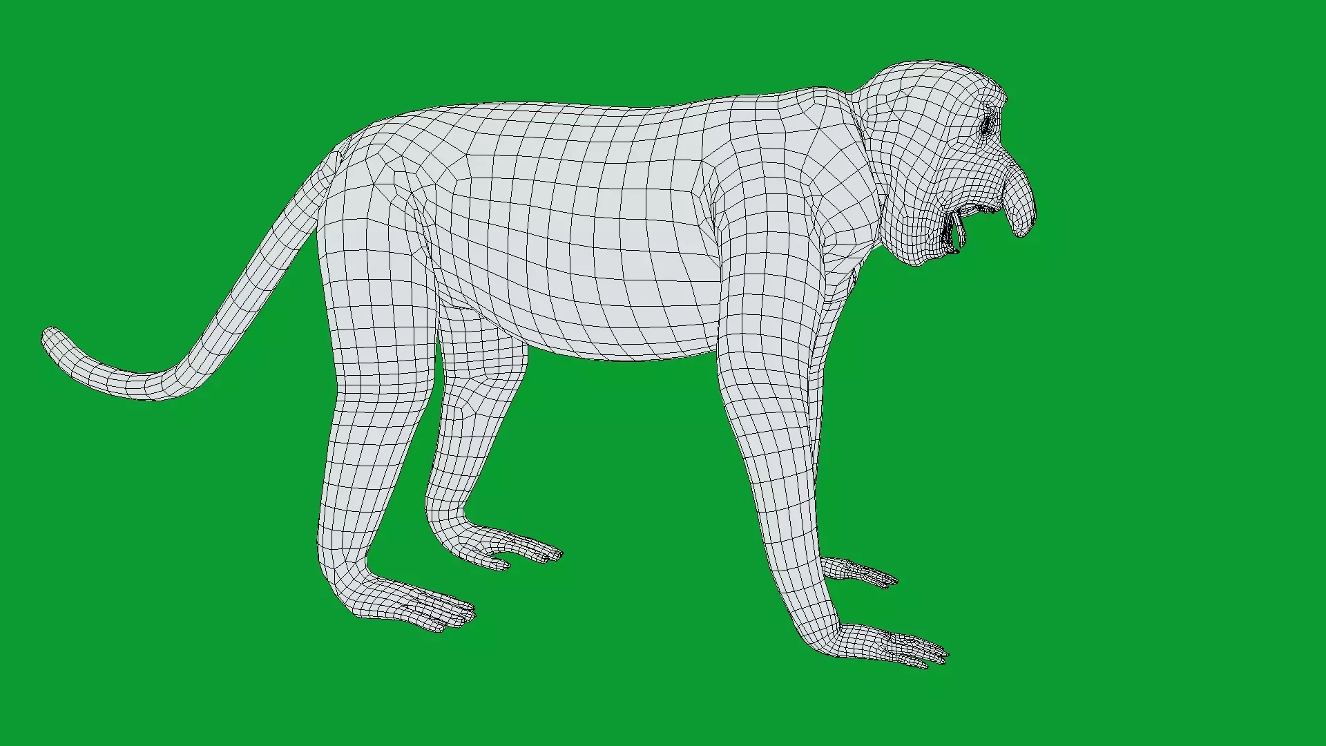 Proboscis Long Nosed Monkey Male Low-poly 3D model_25